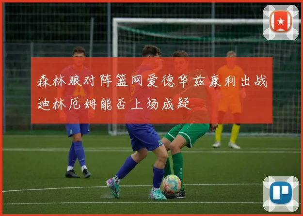 森林狼对阵篮网爱德华兹康利出战迪林厄姆能否上场成疑