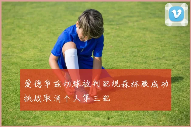 爱德华兹切球被判犯规森林狼成功挑战取消个人第三犯