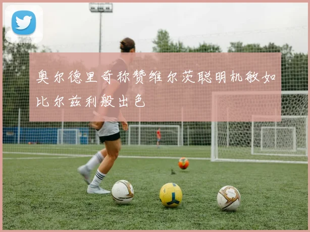 奥尔德里奇称赞维尔茨聪明机敏如比尔兹利般出色