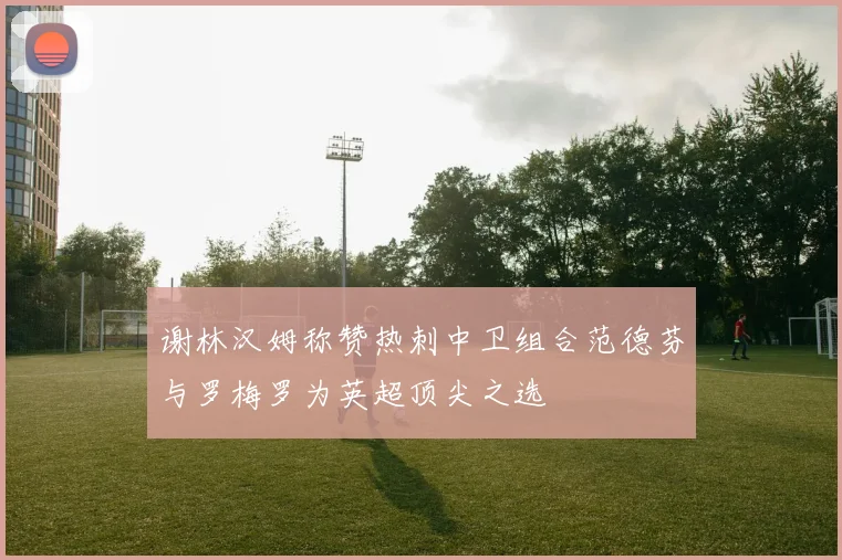 谢林汉姆称赞热刺中卫组合范德芬与罗梅罗为英超顶尖之选