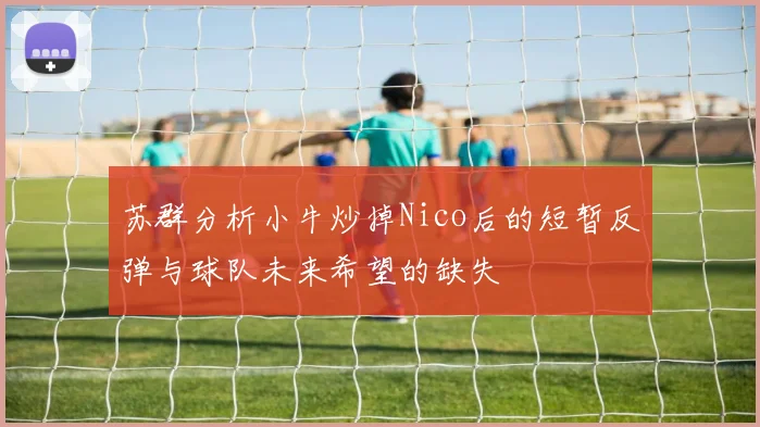 苏群分析小牛炒掉Nico后的短暂反弹与球队未来希望的缺失